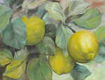 0105_043.jpg (33657 Byte)