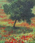 2034.jpg (92191 Byte)